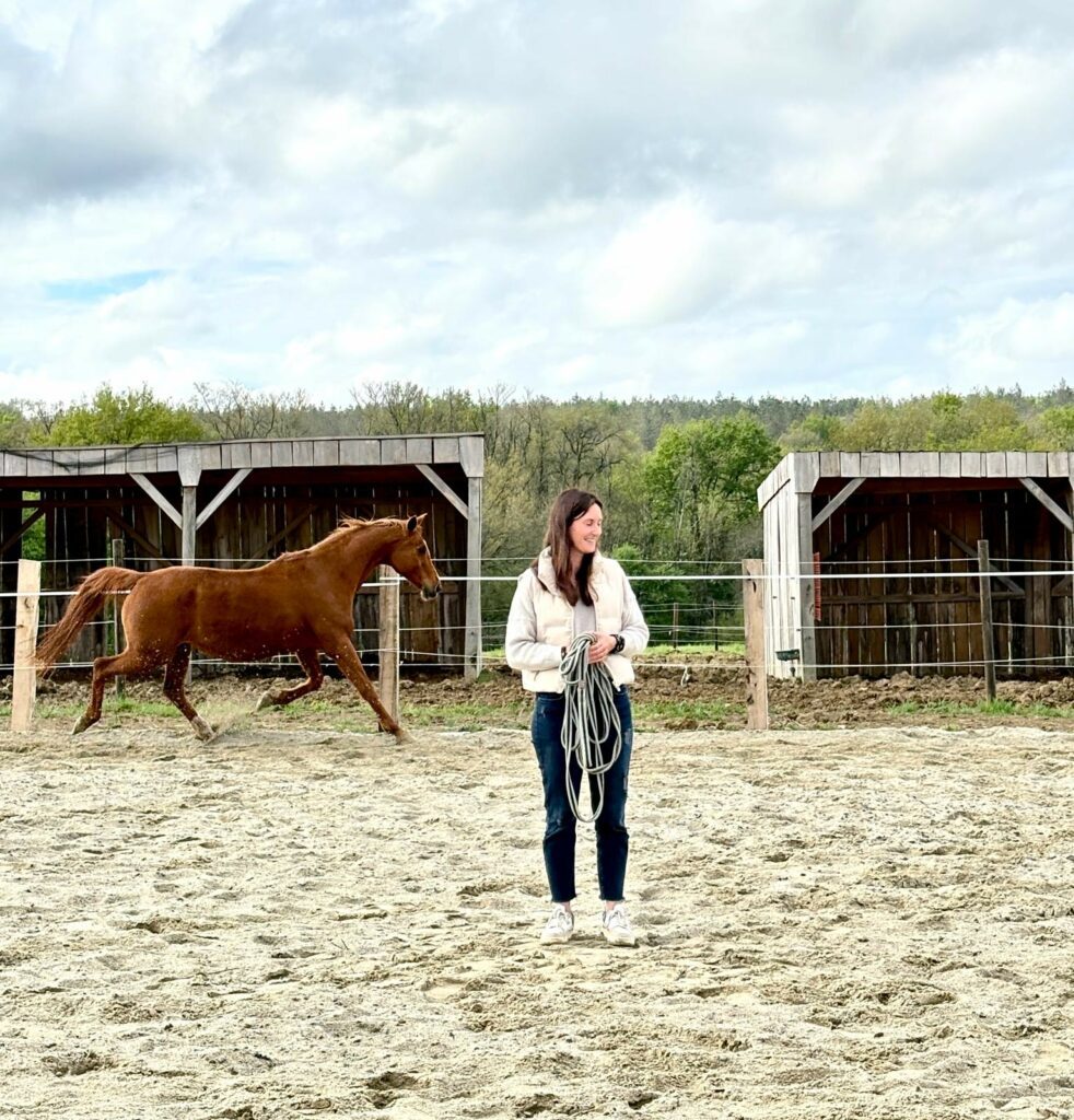 Atelier bien-être à Bertrimont avec Juie et son cheval pour l'équicoaching